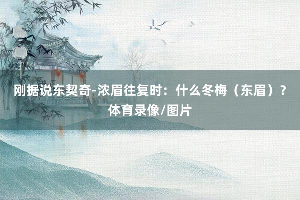 刚据说东契奇-浓眉往复时：什么冬梅（东眉）？体育录像/图片