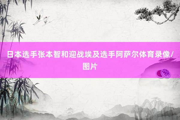 日本选手张本智和迎战埃及选手阿萨尔体育录像/图片