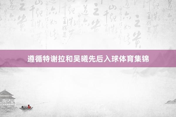 遵循特谢拉和吴曦先后入球体育集锦