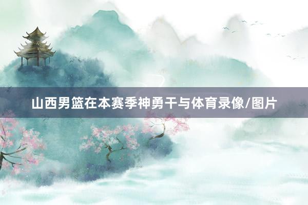 山西男篮在本赛季神勇干与体育录像/图片
