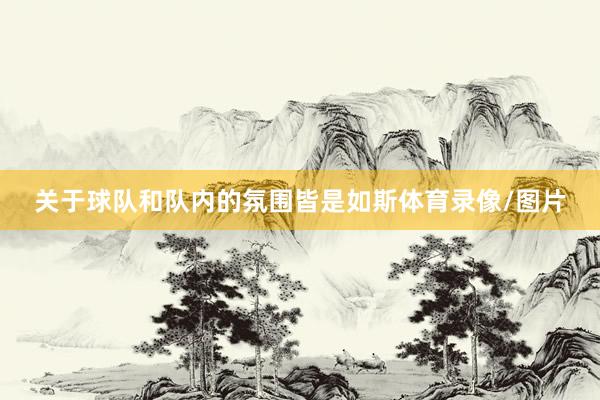关于球队和队内的氛围皆是如斯体育录像/图片