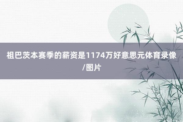祖巴茨本赛季的薪资是1174万好意思元体育录像/图片