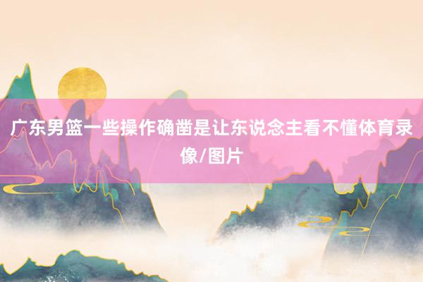 广东男篮一些操作确凿是让东说念主看不懂体育录像/图片