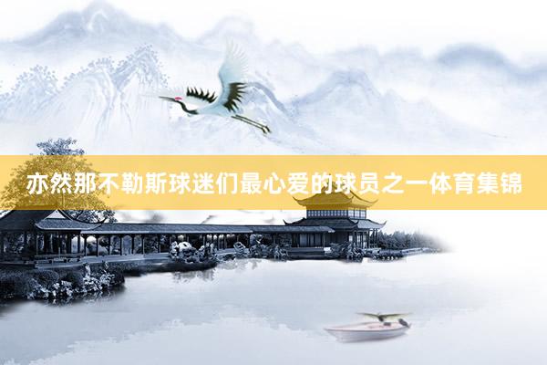 亦然那不勒斯球迷们最心爱的球员之一体育集锦