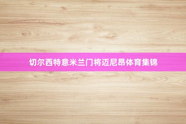切尔西特意米兰门将迈尼昂体育集锦