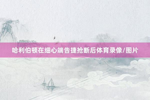 哈利伯顿在细心端告捷抢断后体育录像/图片