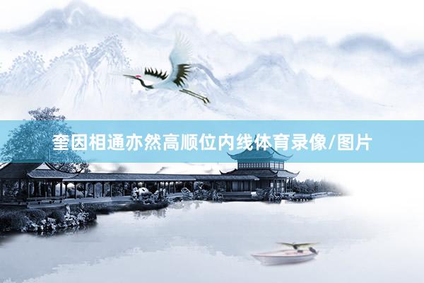 奎因相通亦然高顺位内线体育录像/图片