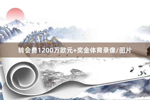 转会费1200万欧元+奖金体育录像/图片