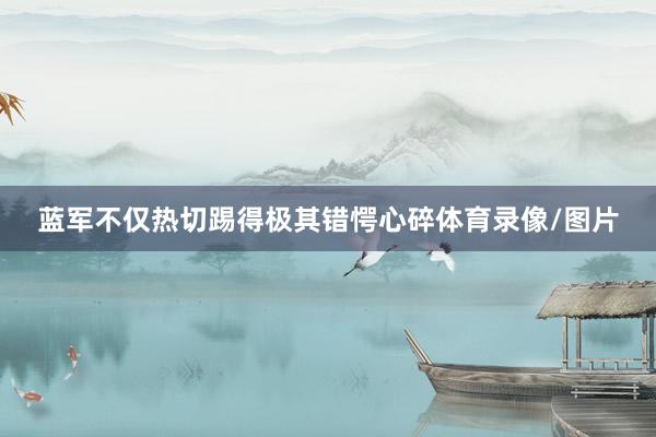 蓝军不仅热切踢得极其错愕心碎体育录像/图片