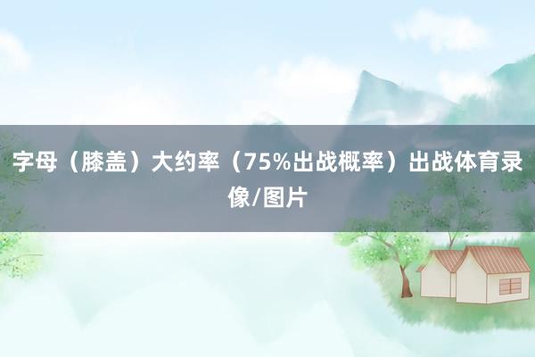 字母（膝盖）大约率（75%出战概率）出战体育录像/图片
