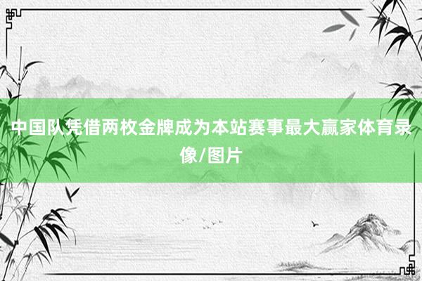 中国队凭借两枚金牌成为本站赛事最大赢家体育录像/图片
