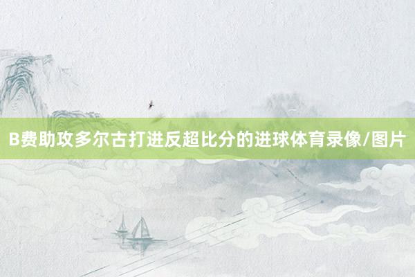 B费助攻多尔古打进反超比分的进球体育录像/图片