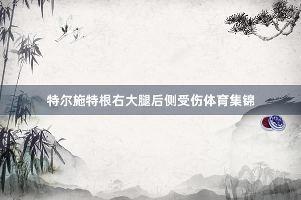 特尔施特根右大腿后侧受伤体育集锦