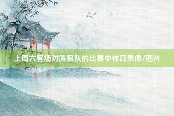 上周六客场对阵狼队的比赛中体育录像/图片