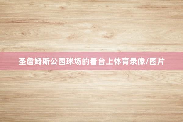 圣詹姆斯公园球场的看台上体育录像/图片