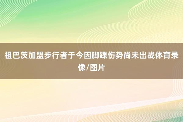 祖巴茨加盟步行者于今因脚踝伤势尚未出战体育录像/图片