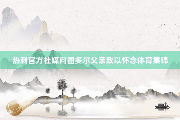 热刺官方社媒向图多尔父亲致以怀念体育集锦