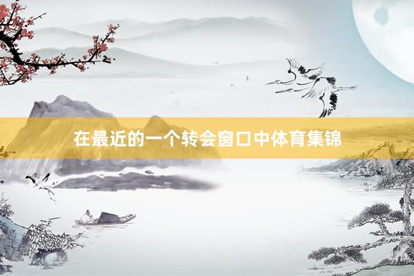在最近的一个转会窗口中体育集锦