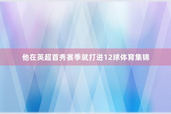 他在英超首秀赛季就打进12球体育集锦