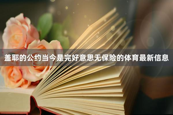 盖耶的公约当今是完好意思无保险的体育最新信息